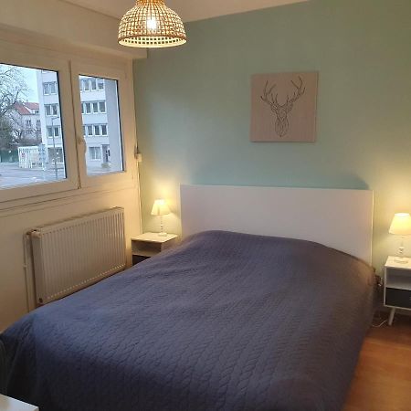 Appartement La Roseraie Proche Centre/Gare メス エクステリア 写真