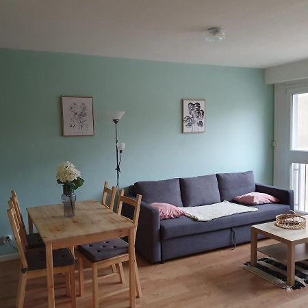Appartement La Roseraie Proche Centre/Gare メス エクステリア 写真