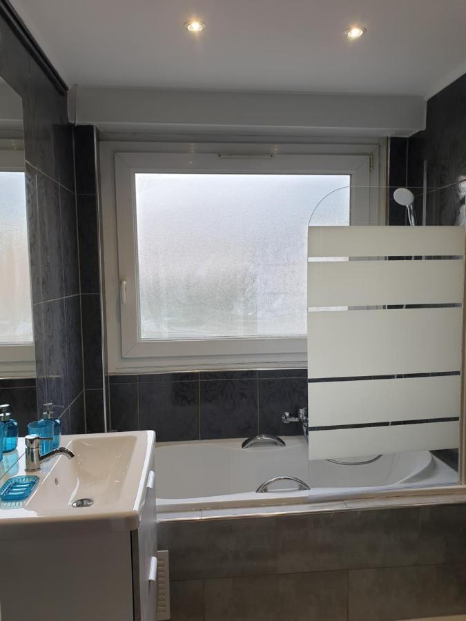 Appartement La Roseraie Proche Centre/Gare メス エクステリア 写真