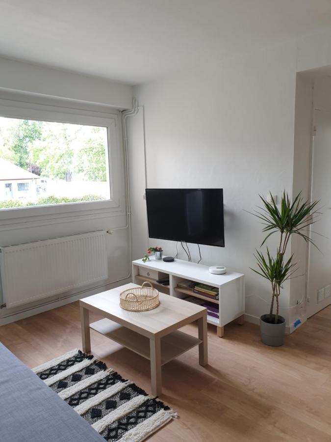 Appartement La Roseraie Proche Centre/Gare メス エクステリア 写真