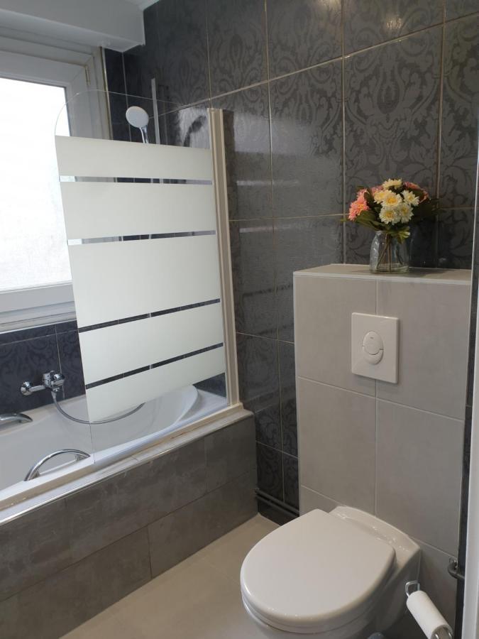 Appartement La Roseraie Proche Centre/Gare メス エクステリア 写真