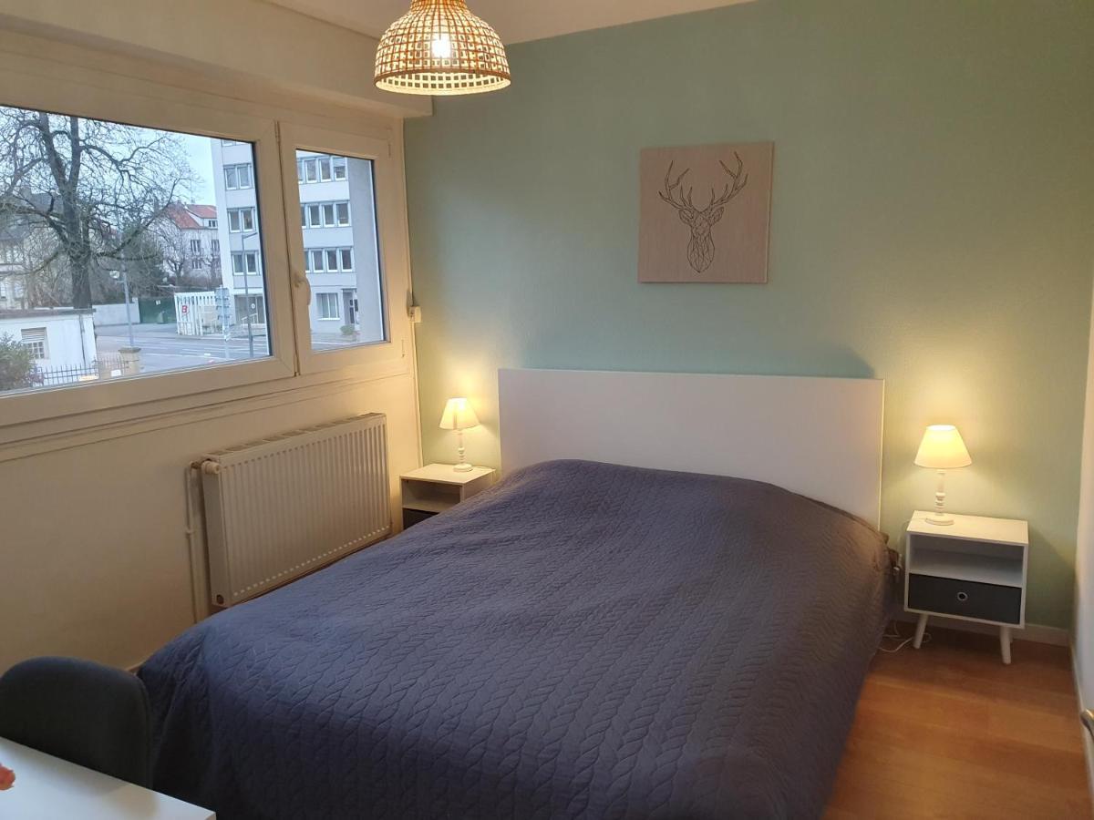 Appartement La Roseraie Proche Centre/Gare メス エクステリア 写真