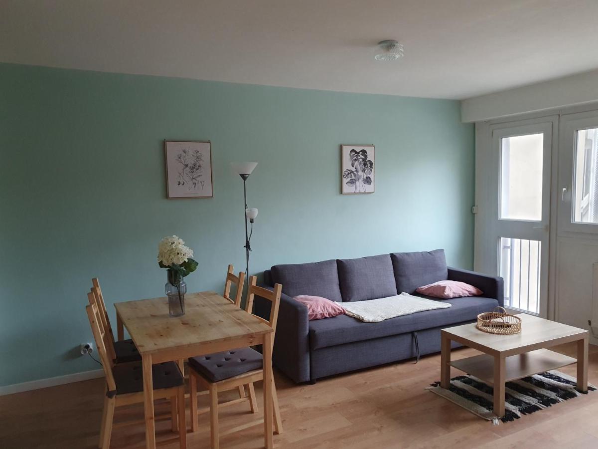 Appartement La Roseraie Proche Centre/Gare メス エクステリア 写真